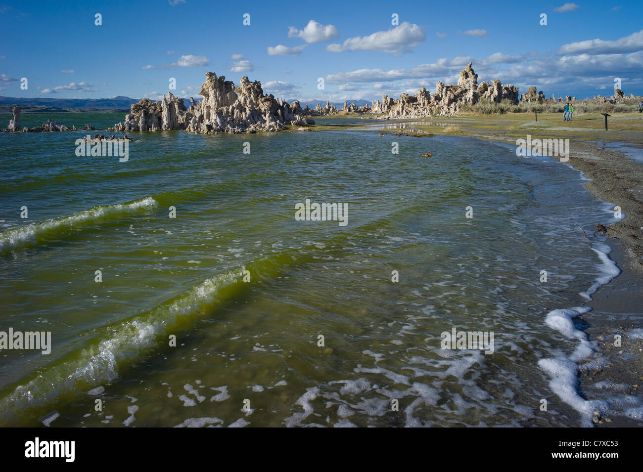 Mono Lake, Kalifornien, USA Stockfoto