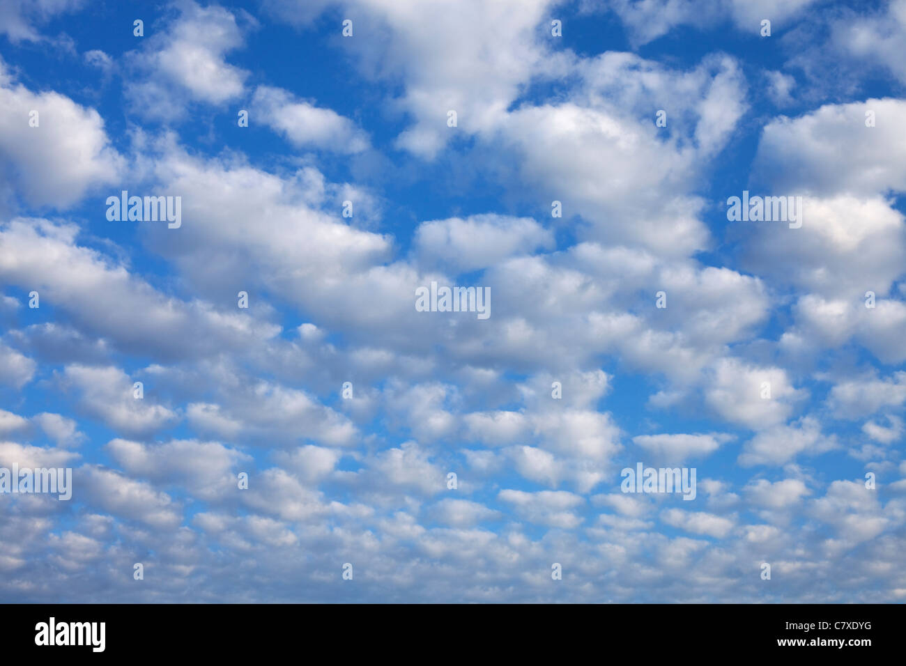 Vollformatbild von Wolken gegen einen blauen Himmel Stockfoto