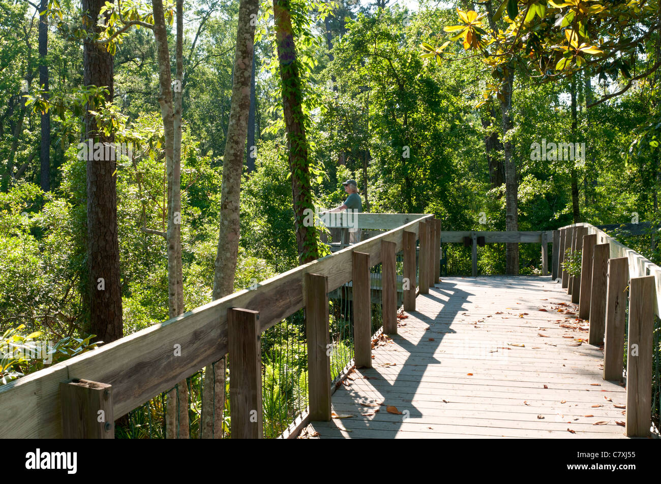 Ocean Springs, Mississippi Gulf Islands National Seashore, Davis Bayou, Aussichtsplattform Herr Stockfoto