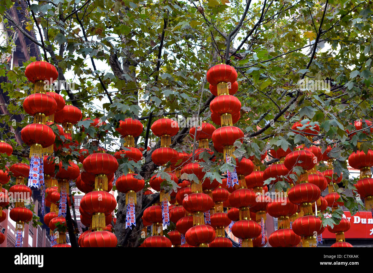 Chinesische Laternen schmücken die Bäume auf dem Basar Yuyuan Garten. Stockfoto