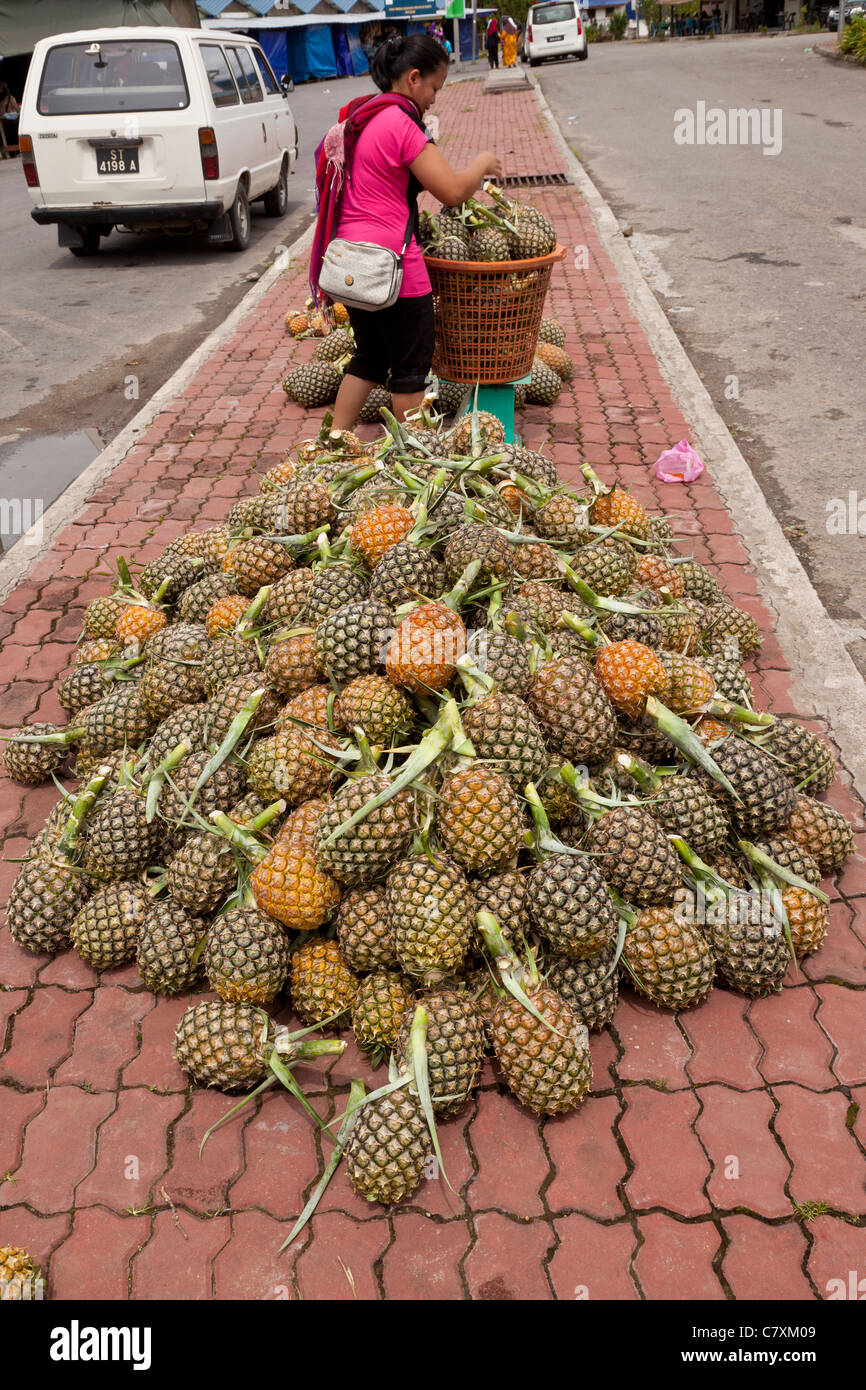 Ananas-Verkäufer, Sabah, Malaysia Borneo Stockfoto