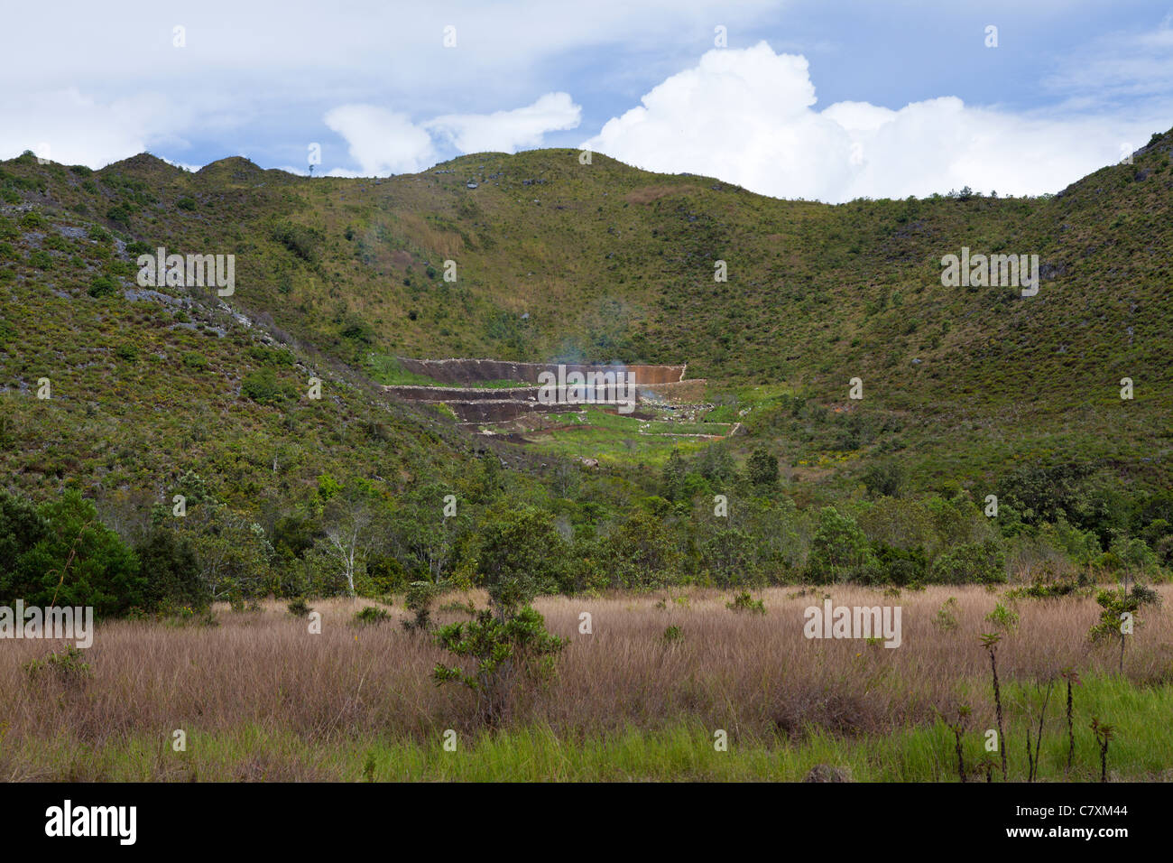 Typische Terrasse Bereichen Baliem-Tal, West-Papua, Indonesien Stockfoto