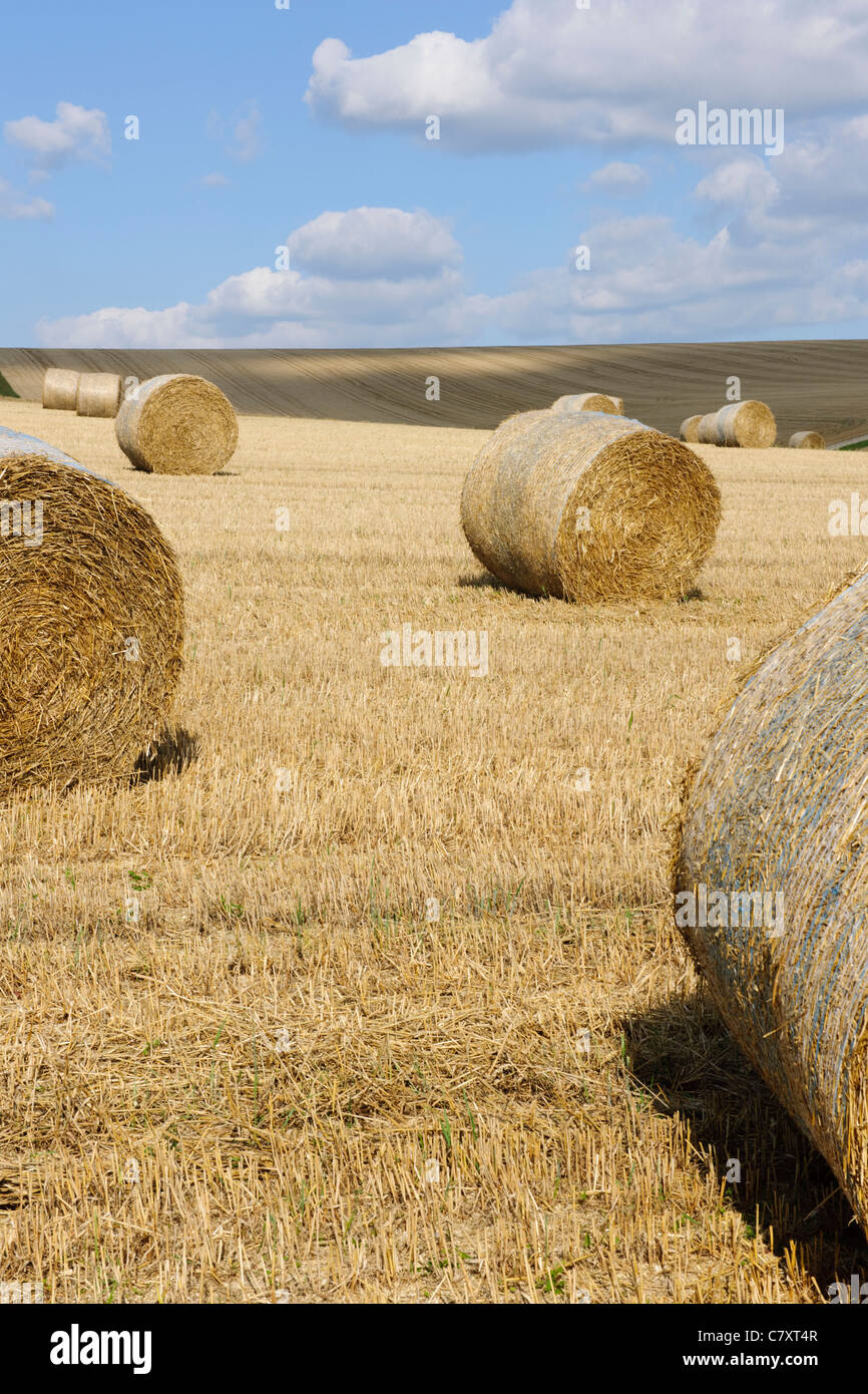 Rundballen Heu erntefrisch unter blauem Himmel mit weißen flauschigen Wolken Stockfoto