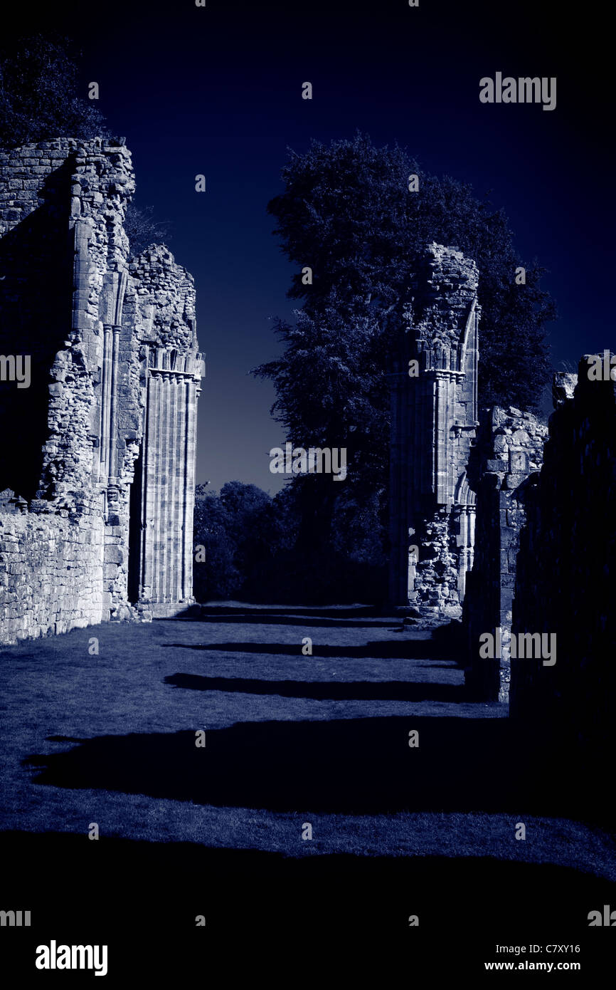 Schattenhafte Abbey Ruinen. Stockfoto