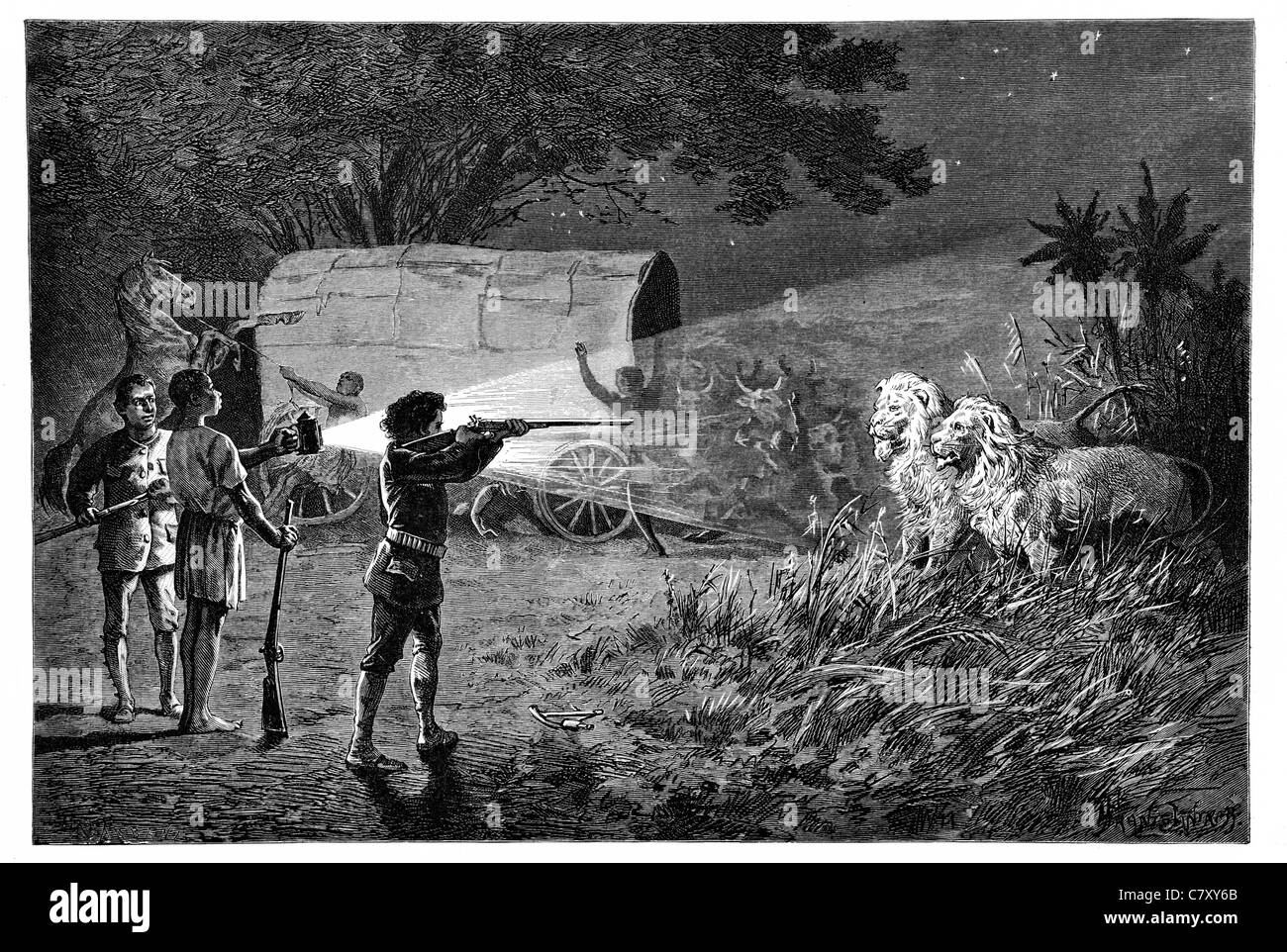 Dreharbeiten Big Game Jagd Jagd gejagt Afrika Big Five Löwe Löwen Tiger indischen Subkontinent Feuerwaffe Schrotflinten Gewehrkugel calibe Stockfoto