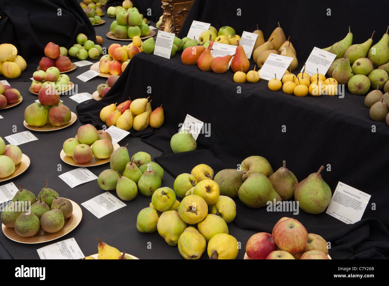Erbe britischer Apfel und Birne Display am Malvern Herbst show 2011 Stockfoto