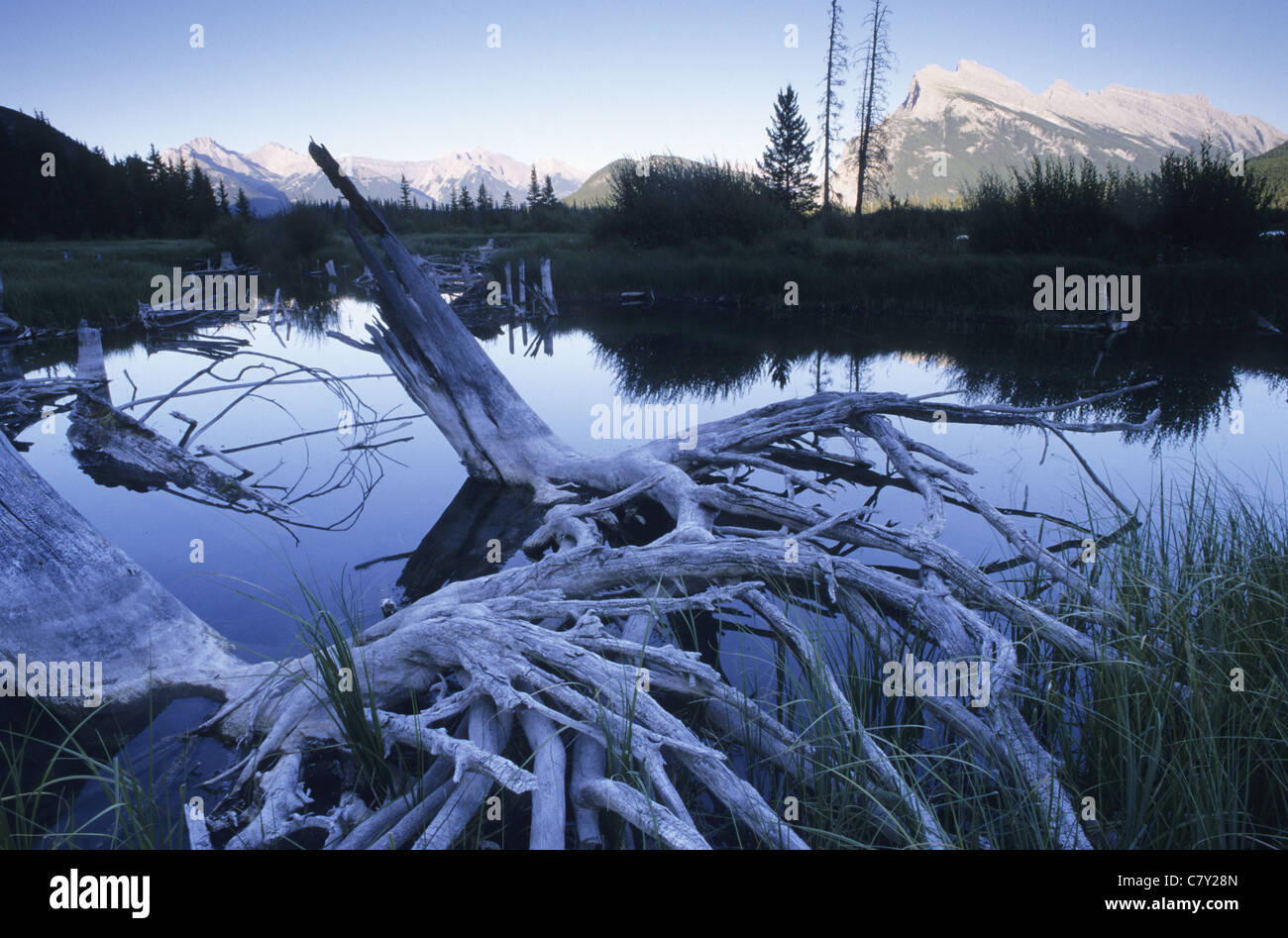 Kanada, Rocky Mountains, Alberta, Banff Nationalpark, Mount Rundle und Vermillion Seen Stockfoto