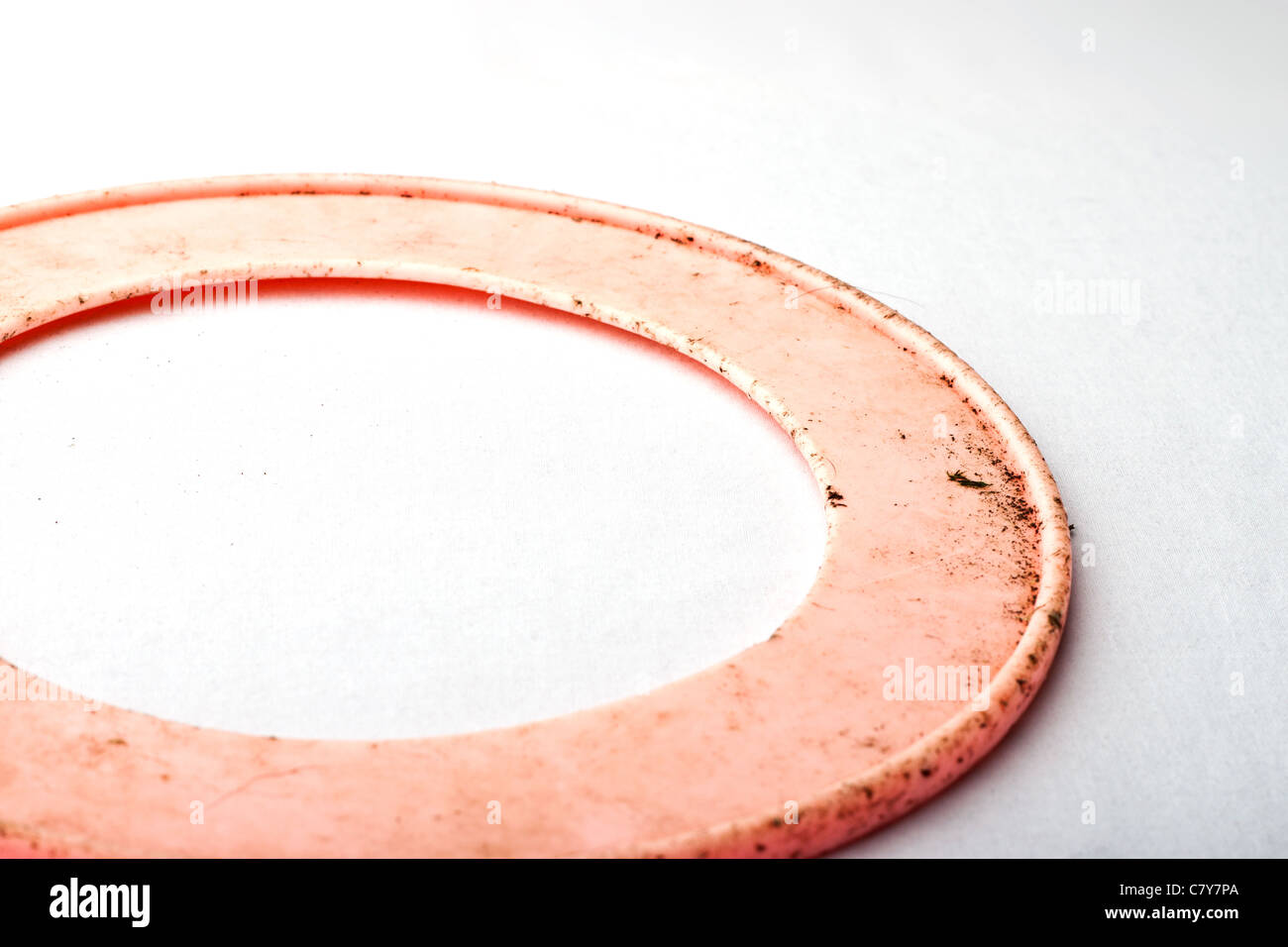 Rosa Dirty dog Frisbee verblasste weißen Hintergrund Stockfoto