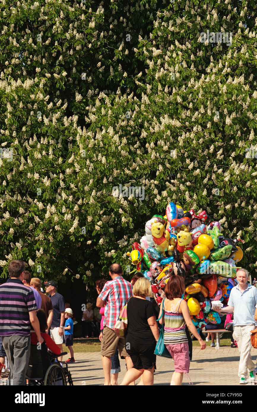 Ballon-Verkäufer in den Bancroft Gardens, Besucher und Touristen, Horse Chesnut Tree, Stratford-upon-Avon, Warwickshire, England, Vereinigtes Königreich Stockfoto