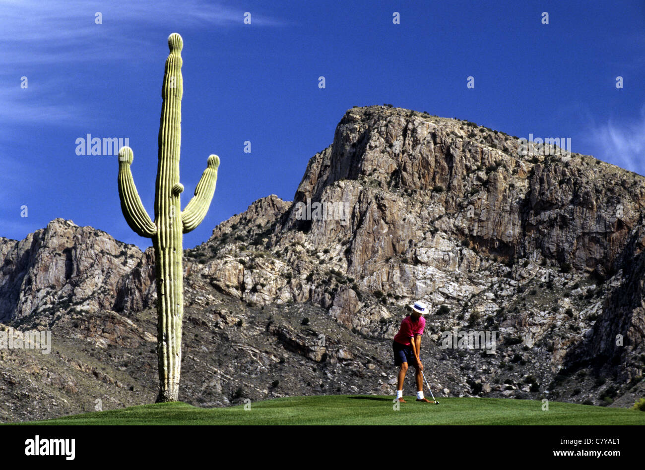 USA, Arizona, Tucson, Golfplatz Stockfoto