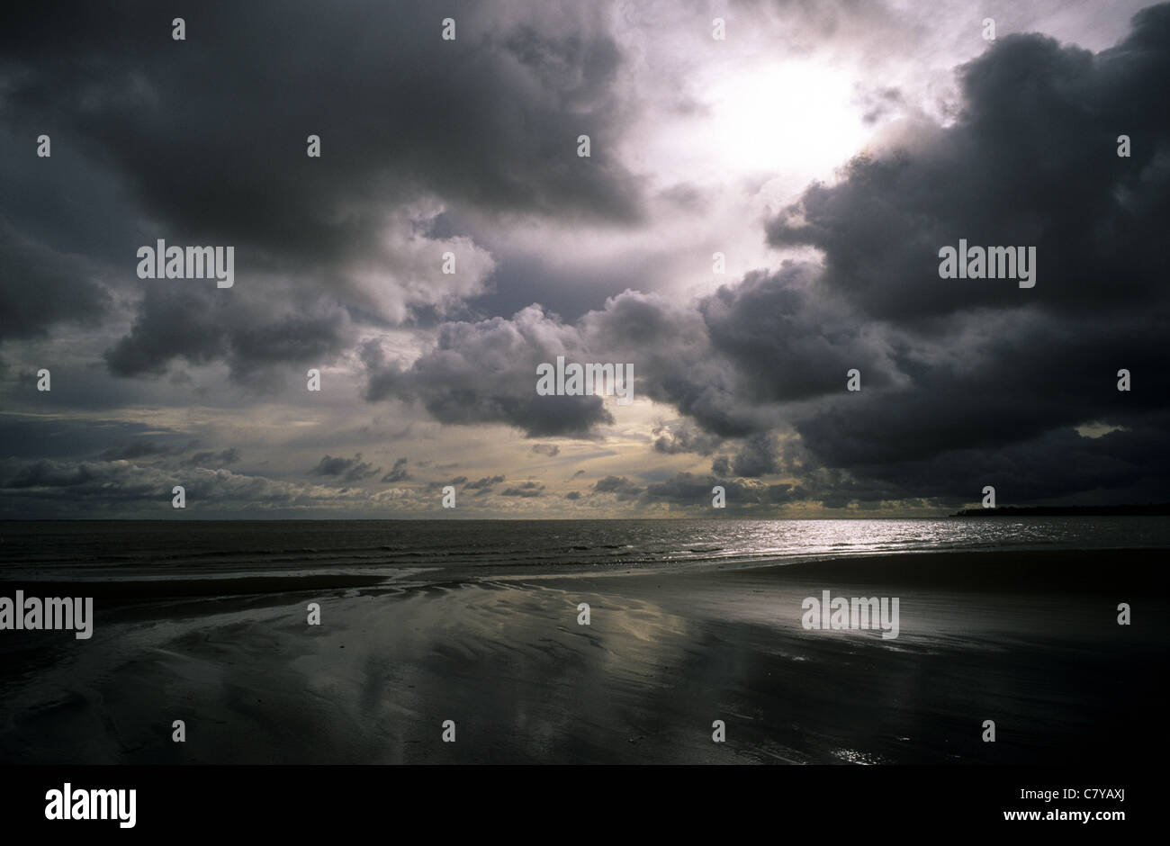 Brasilien, Amazonas, Amazonas-Delta, Mexiana Insel Stockfoto