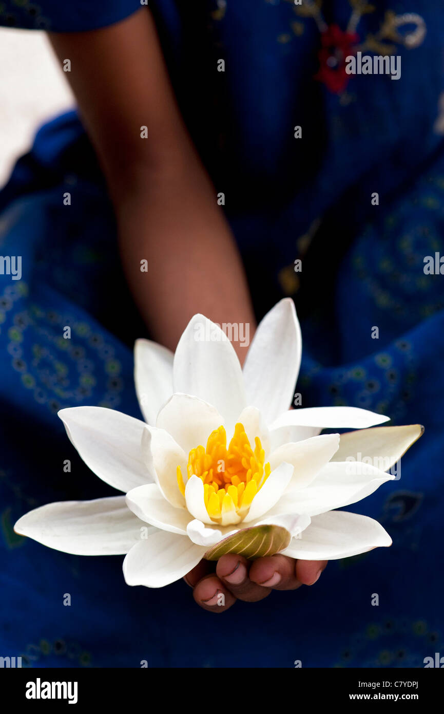 Junge Inderin Nymphaea Alba hält. White Lotus oder europäischen Weiße Seerose Stockfoto