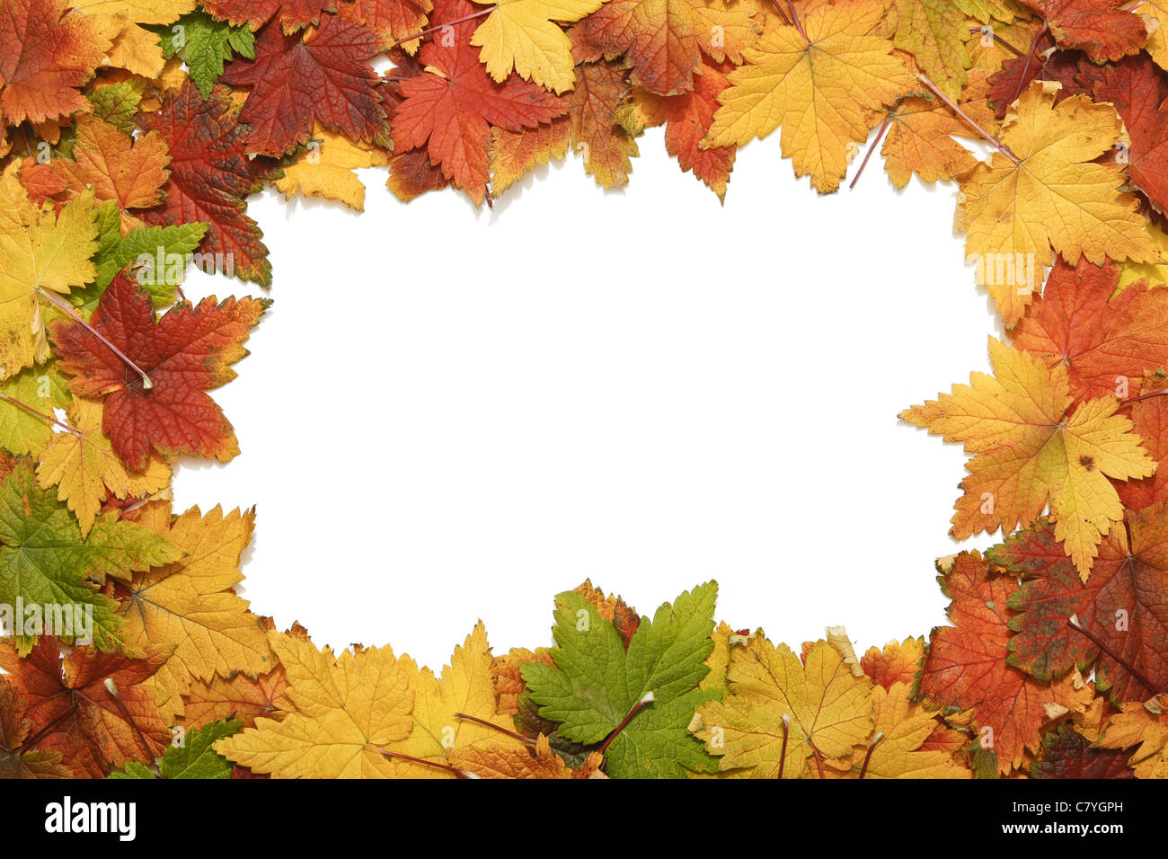 Rahmen des schönen Herbst Blätter in allen Farben Stockfoto