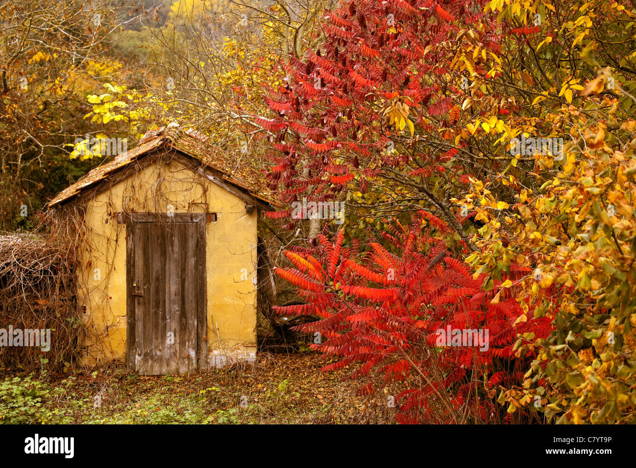 Herbst-Landschaft Lannepax Midi-Pyrenäen Frankreich Stockfoto