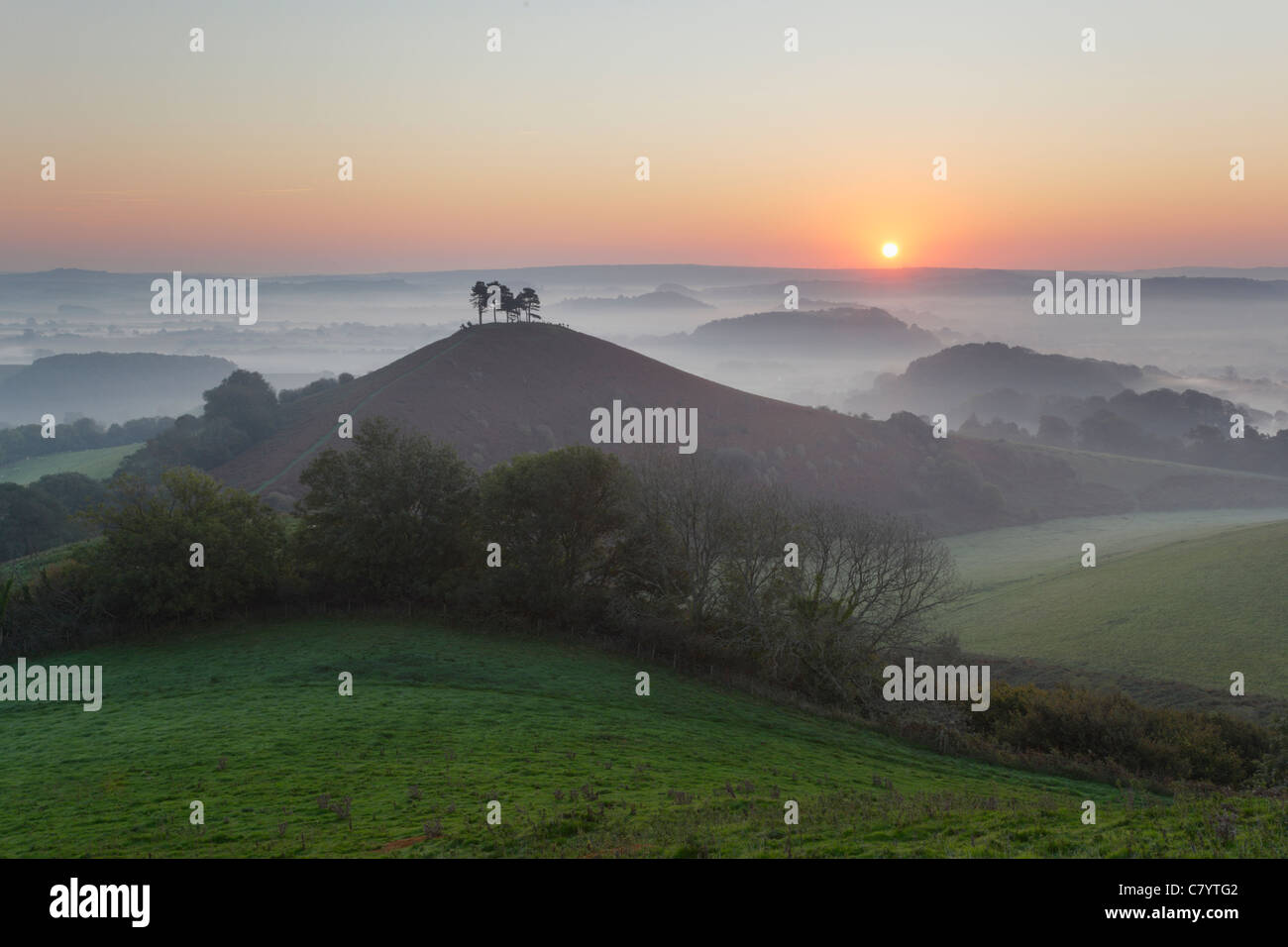 Die Colmer Hill und Marshwood Vale bei Sonnenaufgang. Dorset. England. VEREINIGTES KÖNIGREICH. Stockfoto