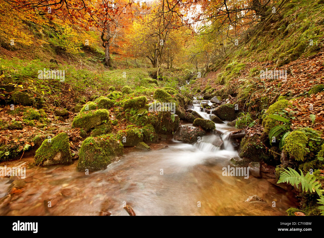 Herbst-Landschaft Wasserfall natürlichen Park Saja Nansa Kantabrien Spanien Stockfoto