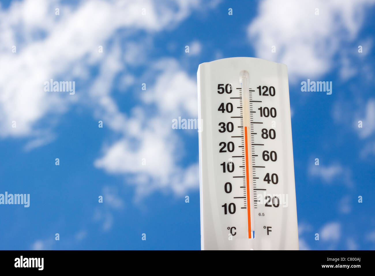 Der Sommer ist hier Stockfoto