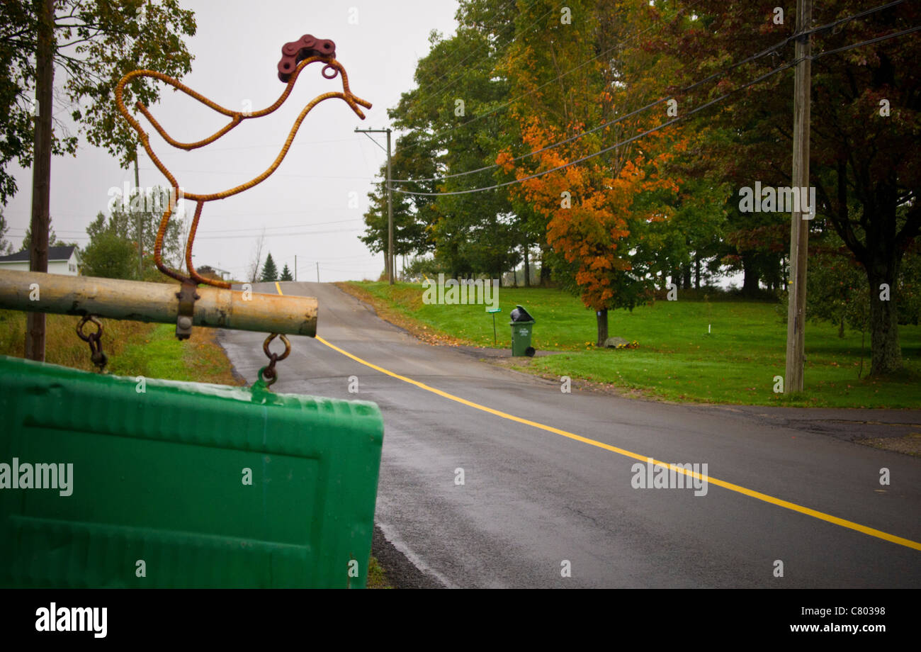 Volkskunst auf grünen Postfach auf Landstraße in New Brunswick, Kanada Stockfoto