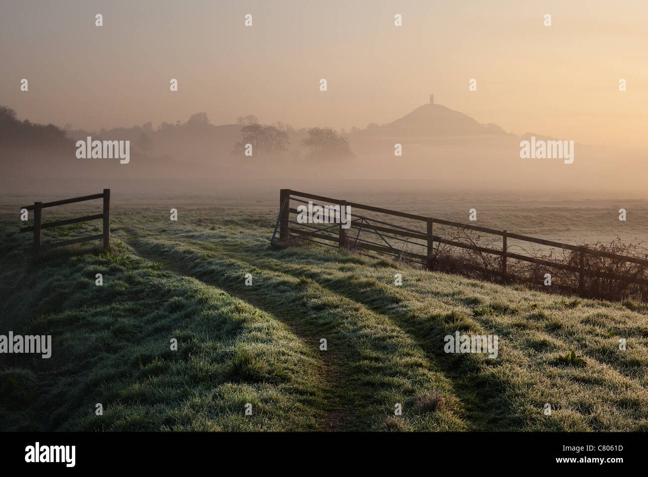 Glastonbury Dawn Open Gate Stockfoto