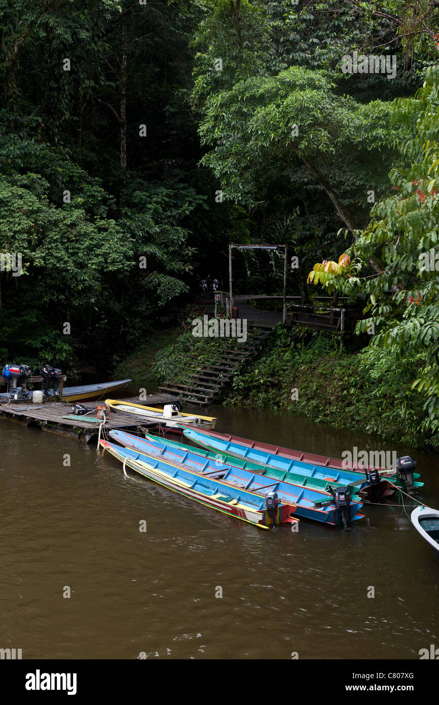 Kanus, die wartete, um Touristen zu den Höhlen, Mulu Nationalpark, Sarawak, Malaysia Borneo nehmen Stockfoto