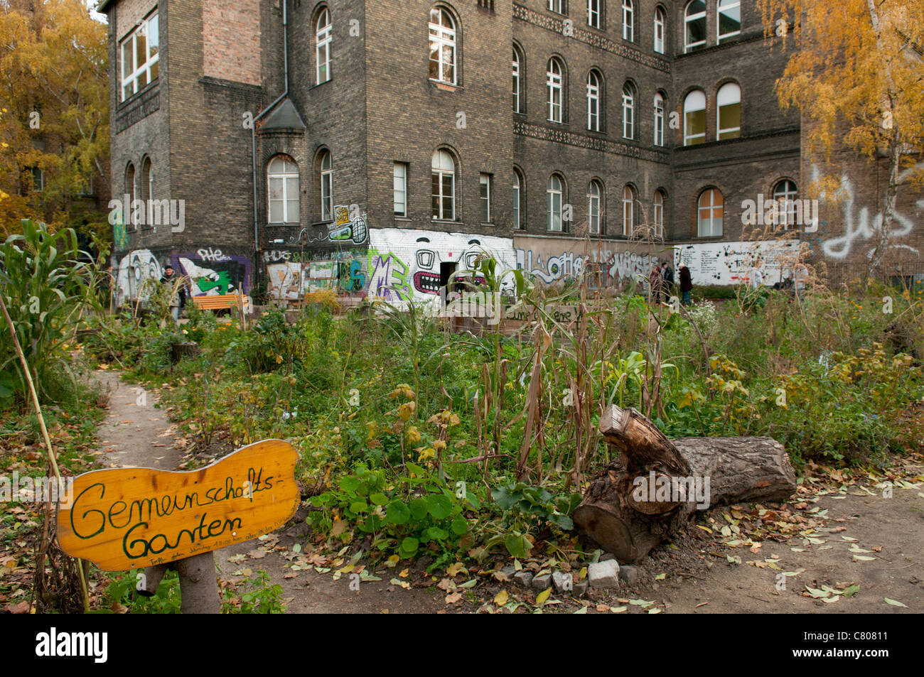 Berlin Stadt Gemüsegarten Stockfoto