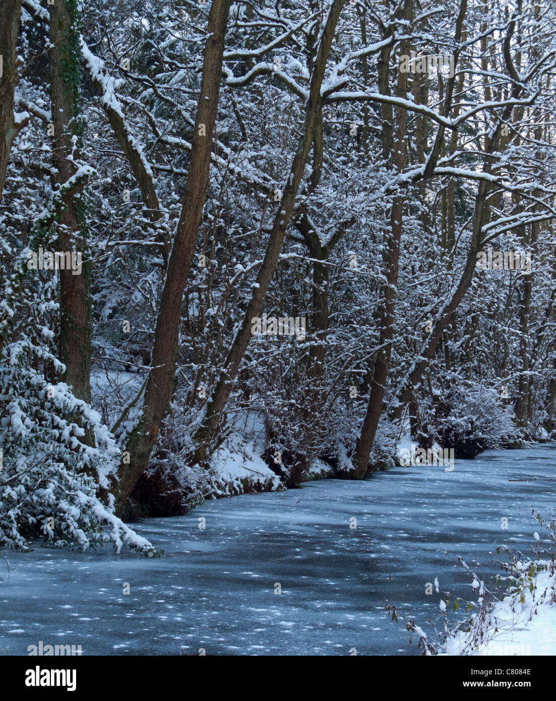 Schnee-Szene am Cromford Kanal in Derbyshire UK während der harten winterlichen Bedingungen vom Januar 2010 für mehrere Wochen dauernden Stockfoto