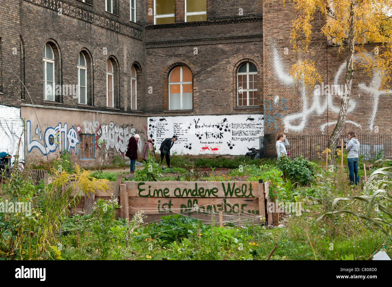 Berlin Stadt Gemüsegarten Stockfoto
