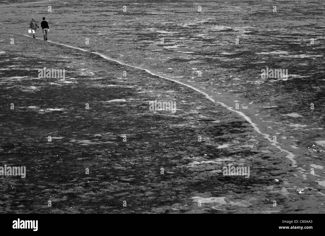 Schwarz / weiß horizontales Bild ein paar zu Fuß über den schlammigen Kanal auf der Suche nach Wasser auf der Suche nach Muscheln zu fangen. Stockfoto
