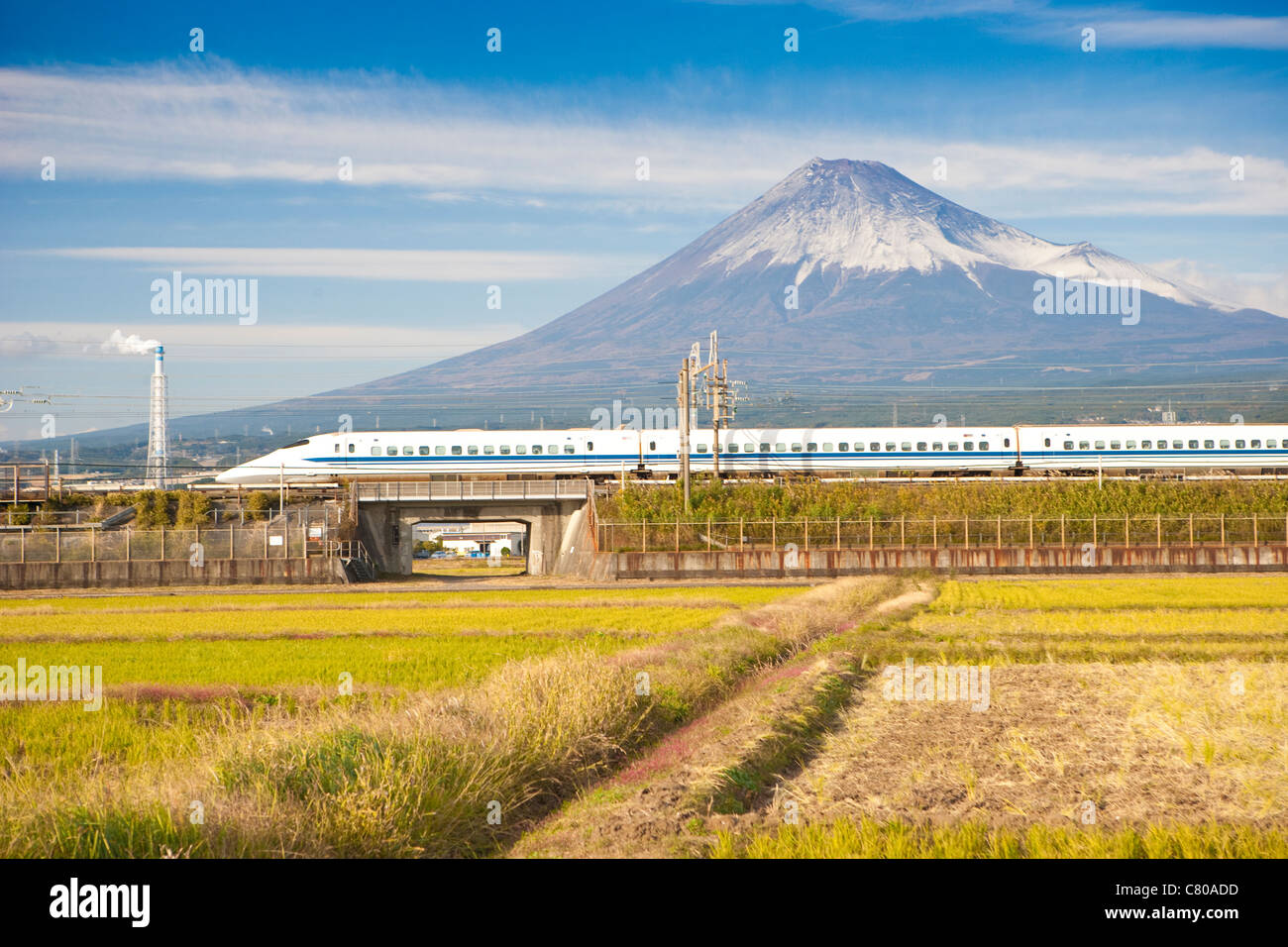 Bullet-Train, vorbei an Reisfeldern und Mount Fuji Stockfoto