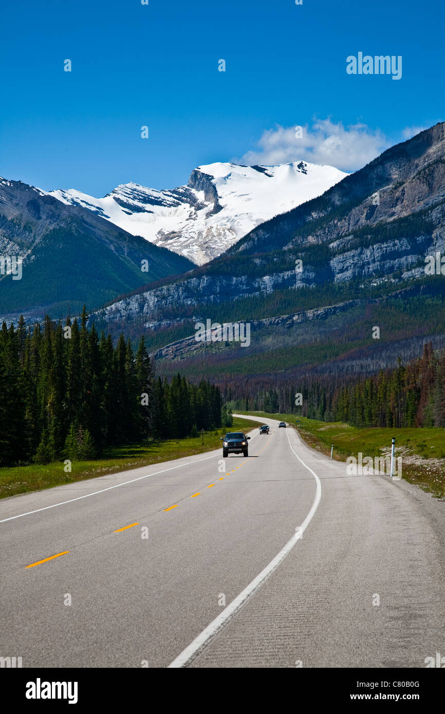 Alberta Highway 11 nähert sich, Saskatchewan River Crossing in den kanadischen Rockies Stockfoto