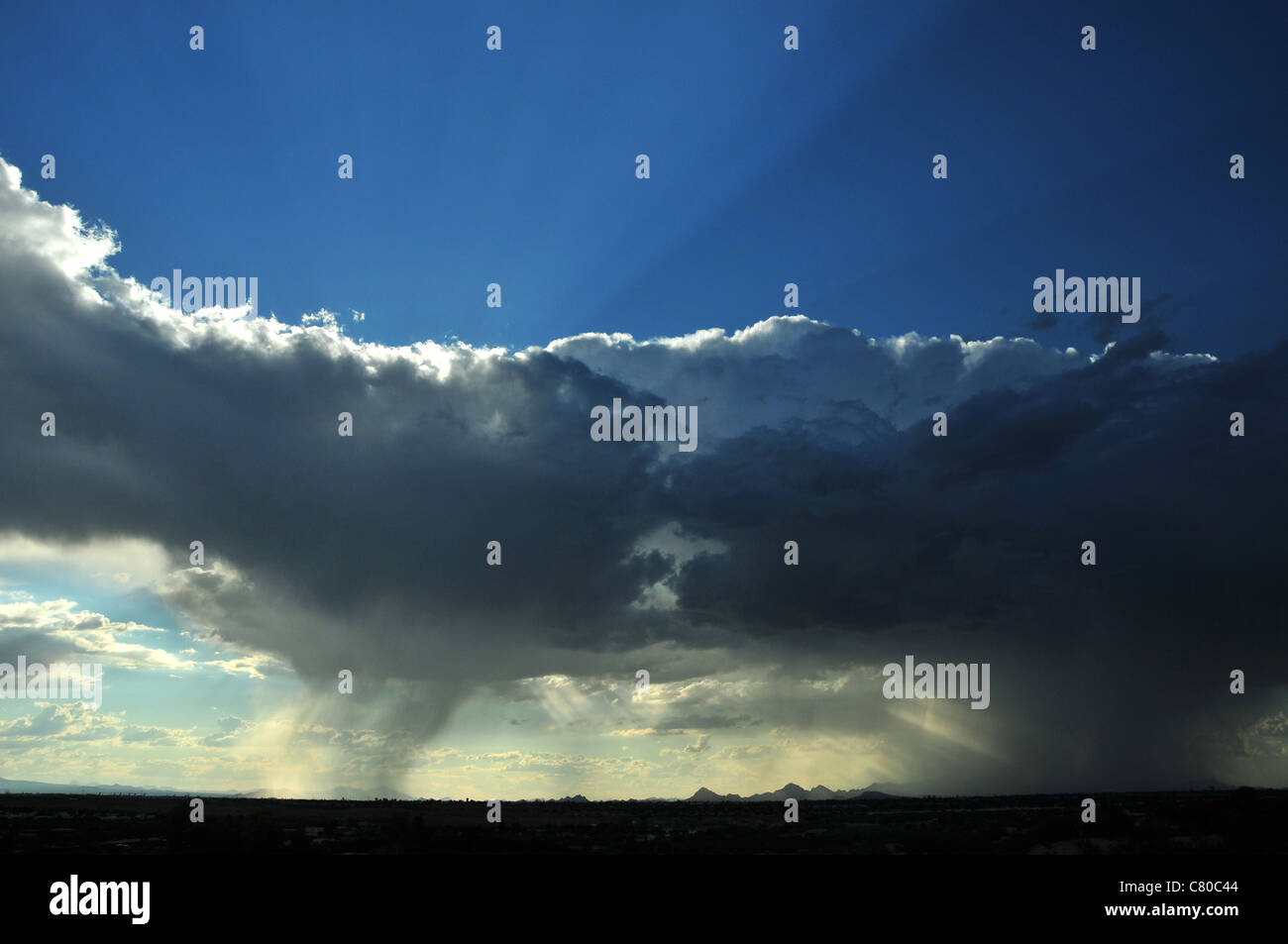 Wolken fallen Regen über die Sonora-Wüste, Tucson, Arizona, USA. Stockfoto