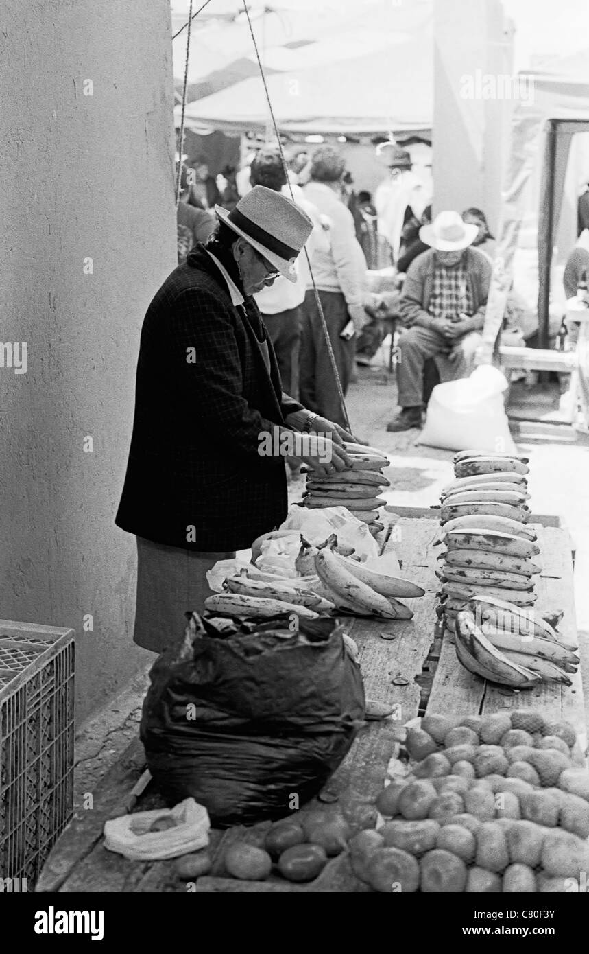 Frau Obst auf dem Markt zu verkaufen. Tunja, Boyacá, Kolumbien, Südamerika Stockfoto