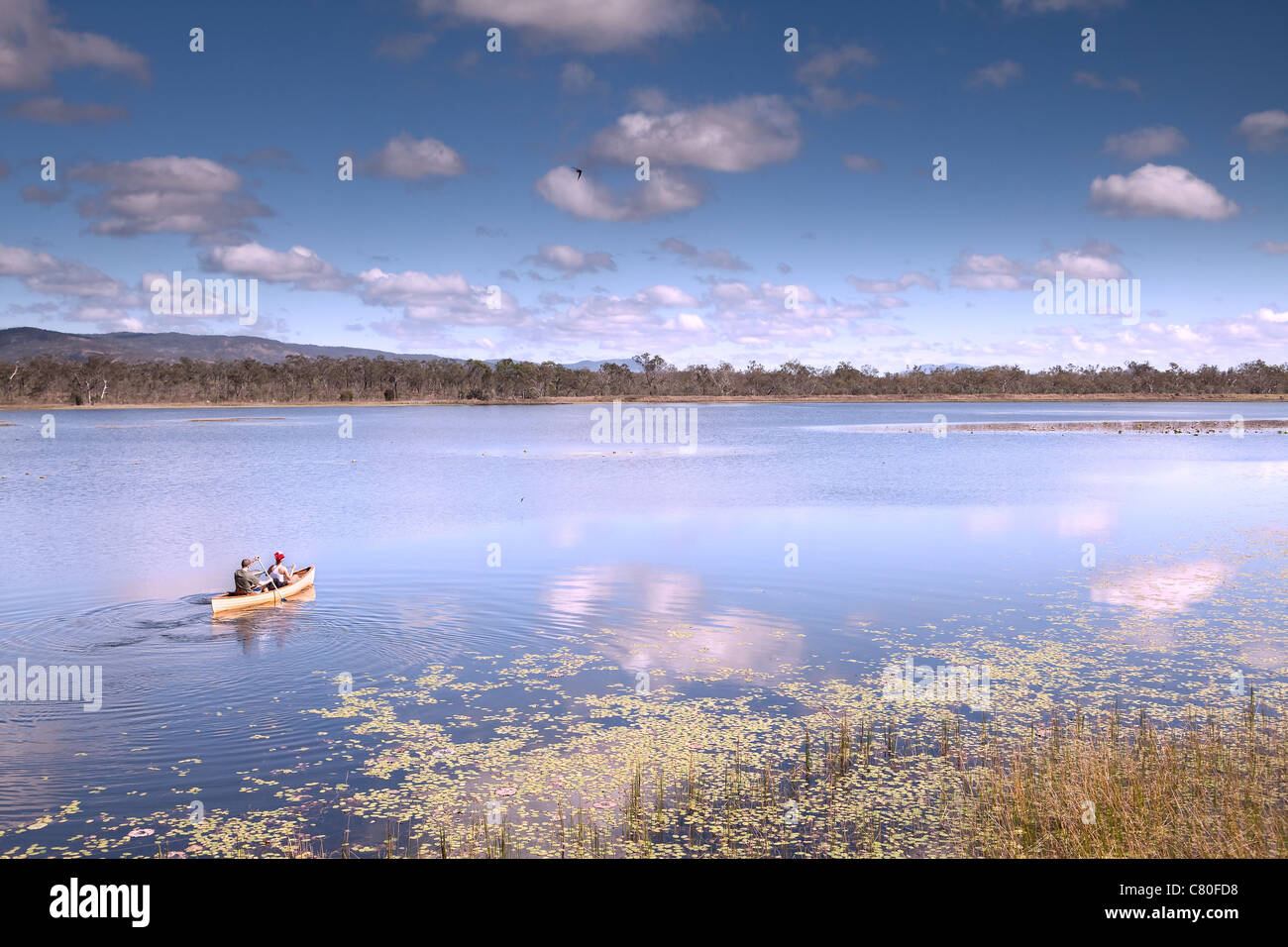 Erkundung des Nationalparks Mareeba Marsh Queensland Australien Stockfoto