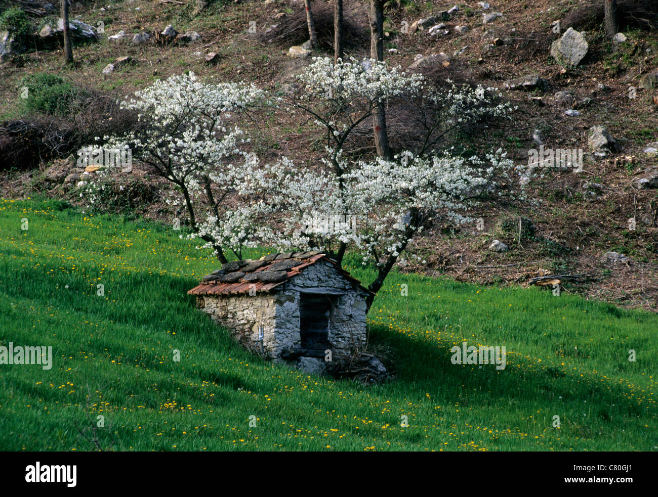 Italien, Emilia Romagna, Secchia Tal. Stockfoto