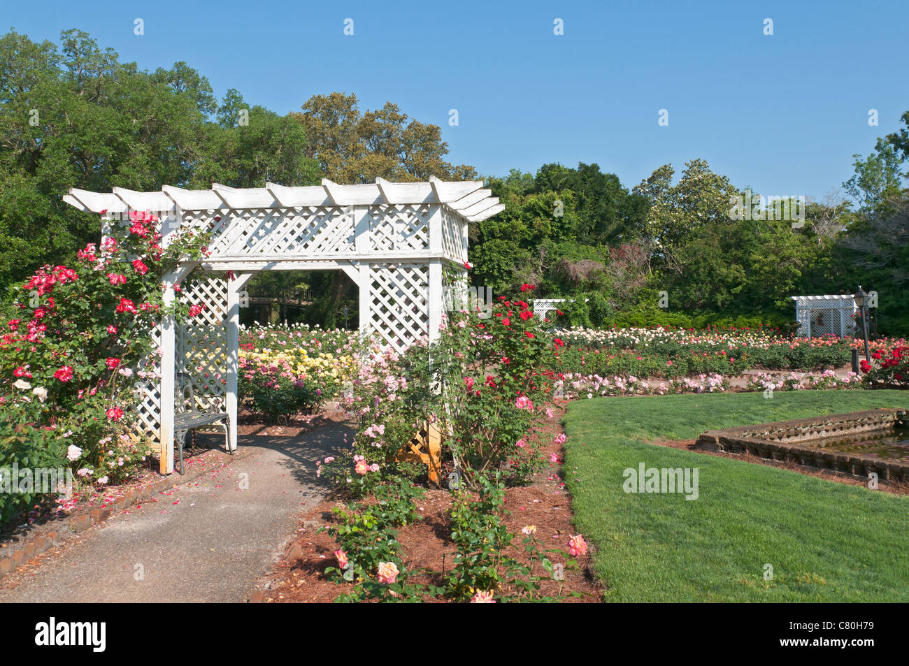 Alabama, Theodore, Bellingrath Gardens und Home, Rosengarten Stockfoto