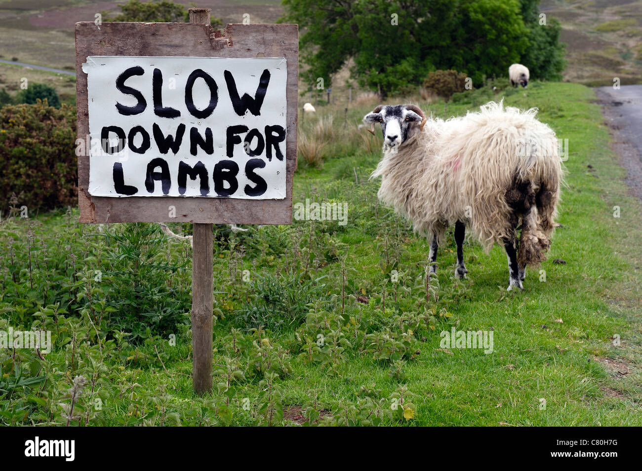 Großbritannien, England, Yorkshire, Yorkshire Moors Nationalpark Stockfoto