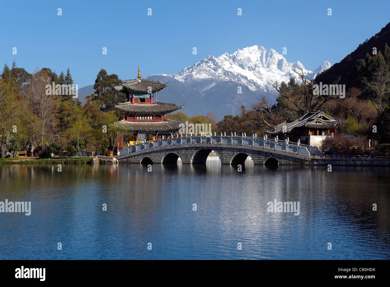 Black Dragon Pool, Hintergrund der Jadedrachen-Schneeberg, Lijiang, Yunnan, China Stockfoto