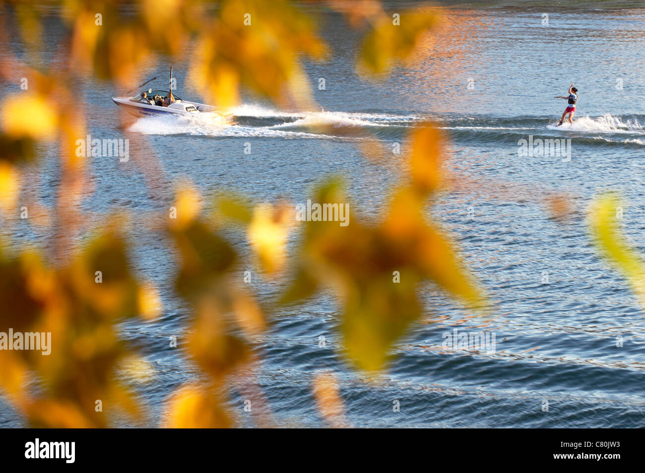 Frankreich, Haute-Garonne, Toulouse, Fluss Garonne, Wasserski Stockfoto