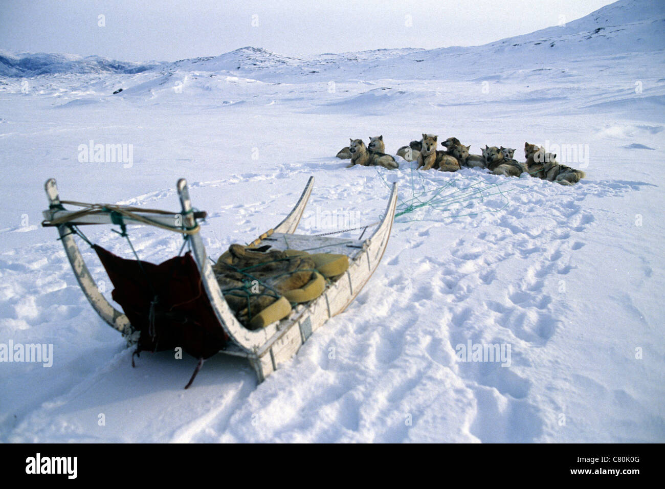 Dänemark, Grönland im Winter, Jakobshavn Gletscher, Dogslege Stockfoto