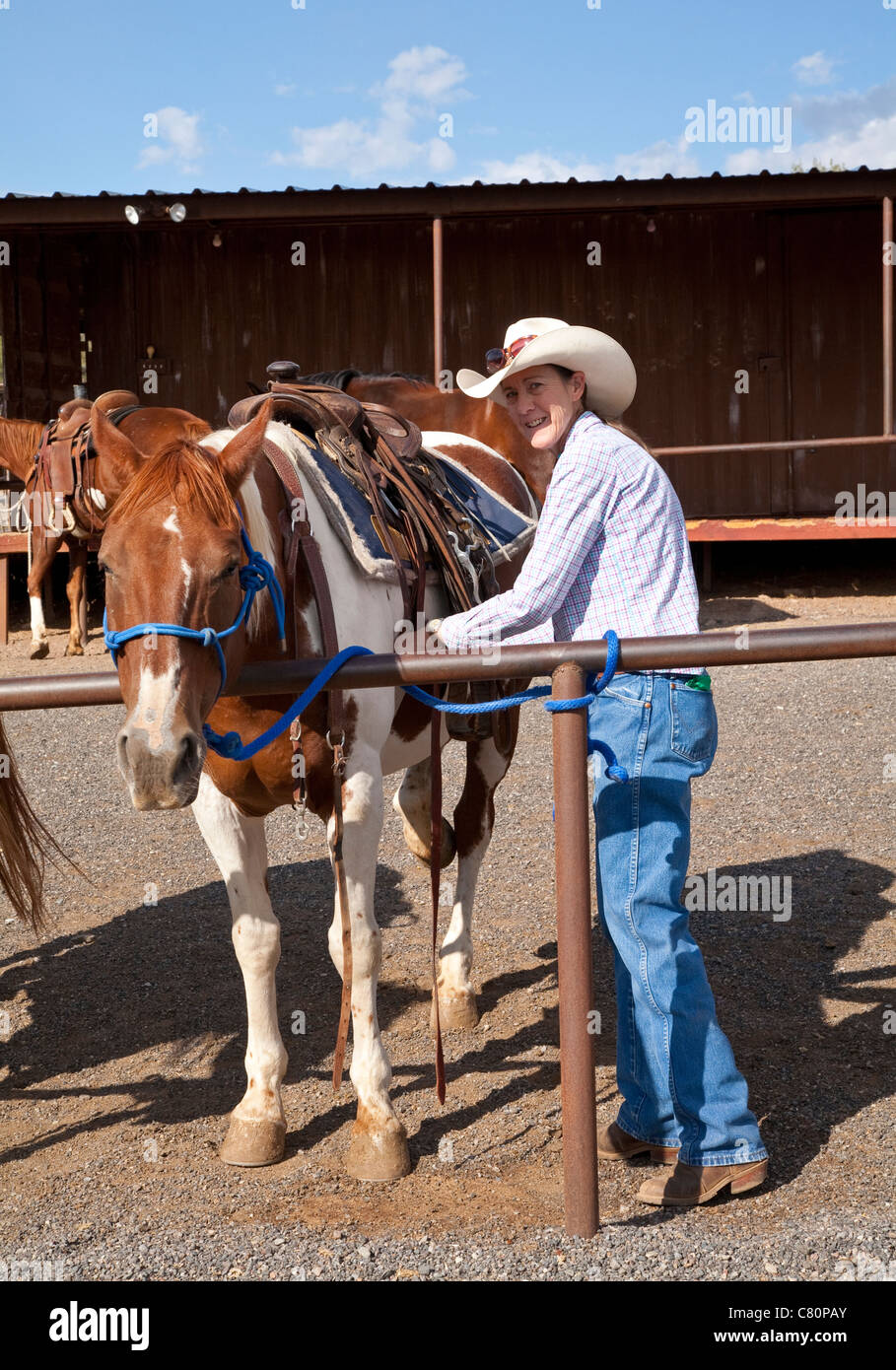 Cowgirl auf ranch Stockfoto
