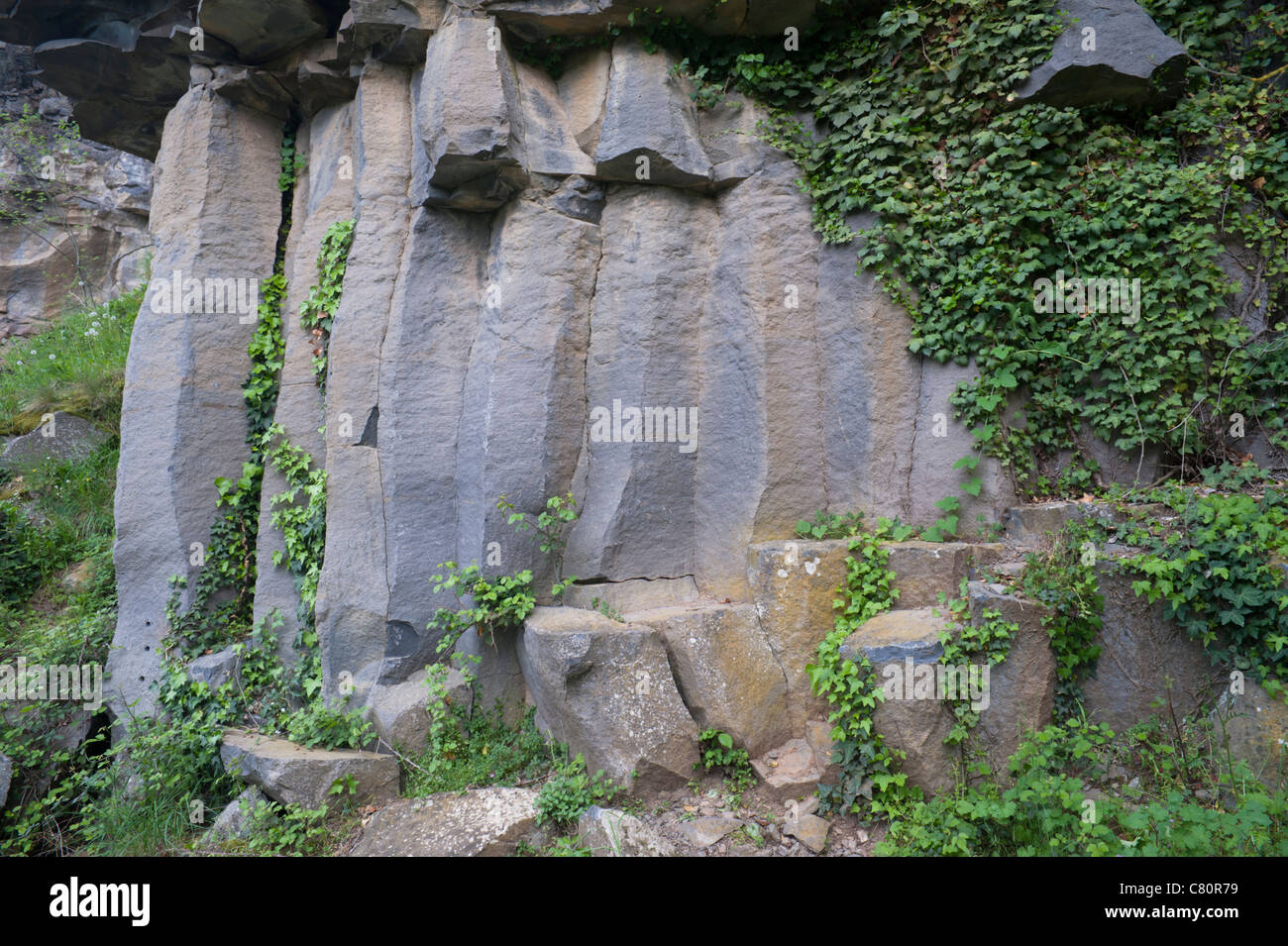 Einspaltig verbunden Lavastrom in der Nähe von Sant Joan Les Fonts in der Garrotxa Vulkanzone, Katalonien, Spanien Stockfoto