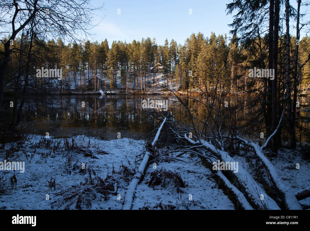Waldsee Einfrieren über Herbst, Finnland Stockfoto