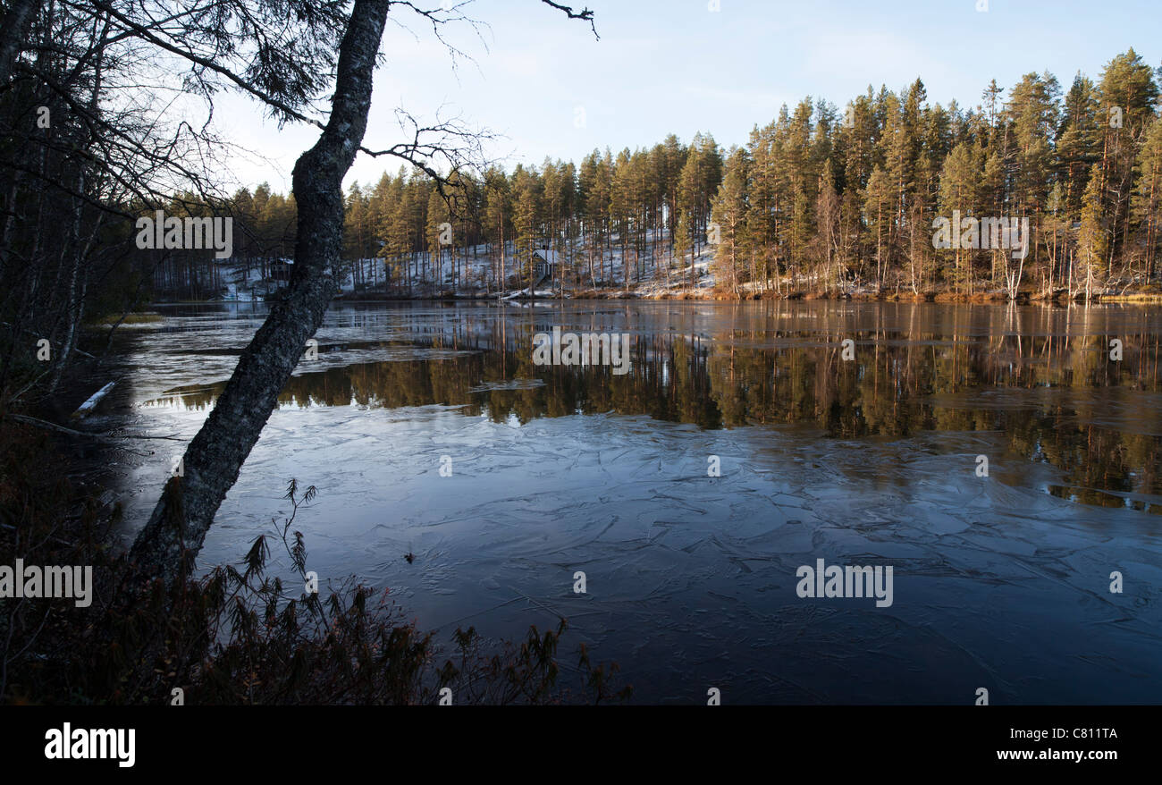 Waldsee Einfrieren über Herbst, Finnland Stockfoto