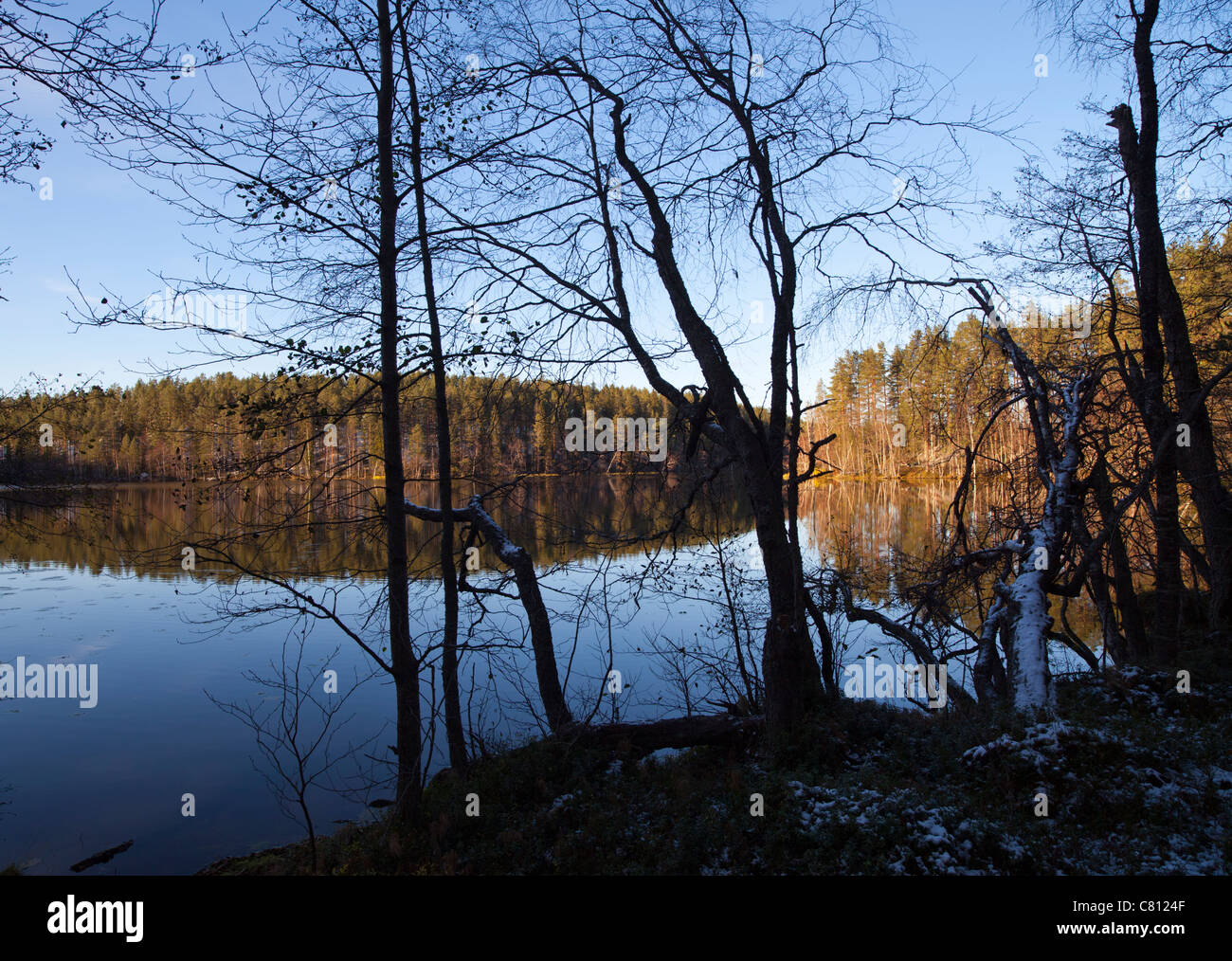 Waldsee, Finnland Stockfoto