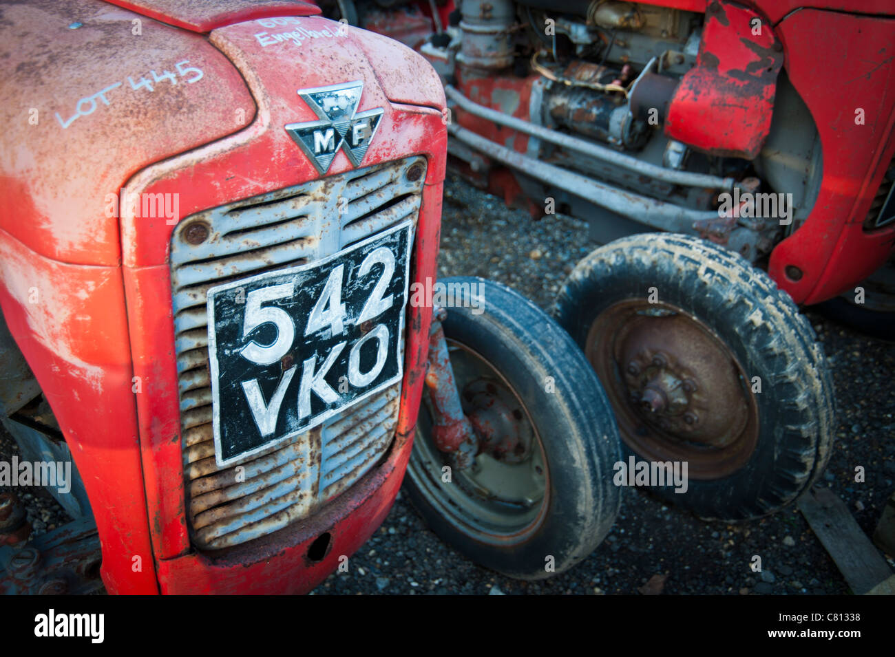 Alte, Vintage-Massey Ferguson-Traktoren bei einer Auktion gekauft Stockfoto