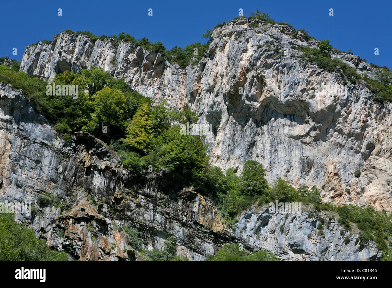 Eine raue, zerklüftete Felswand mit grüner Vegetation, Französische Alpen Stockfoto