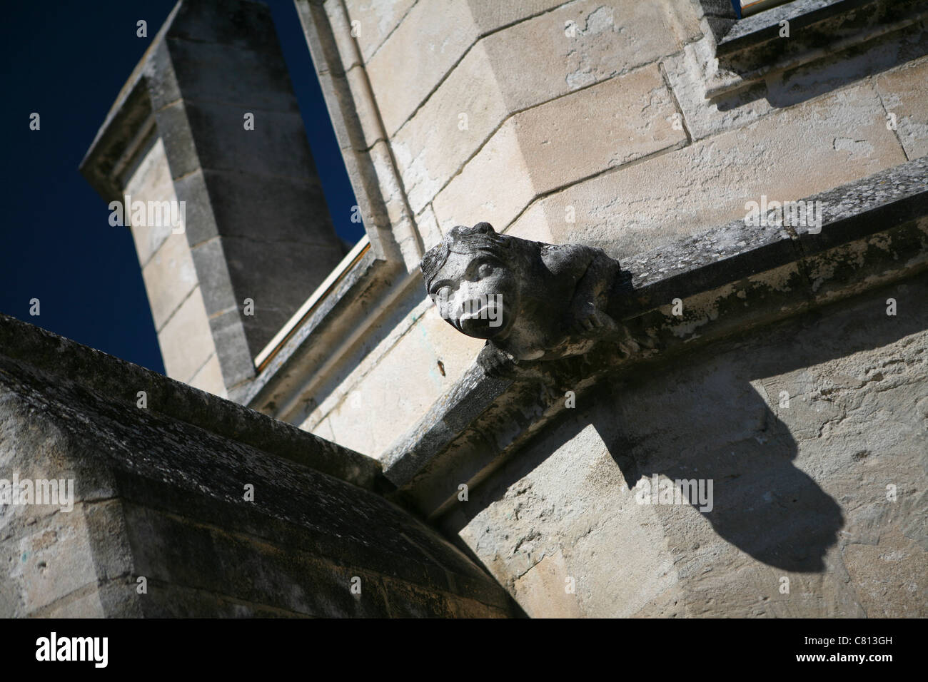 Nahaufnahme eines Wasserspeier auf dem Papstpalast / Palais des Papes, Avignon, Frankreich Stockfoto