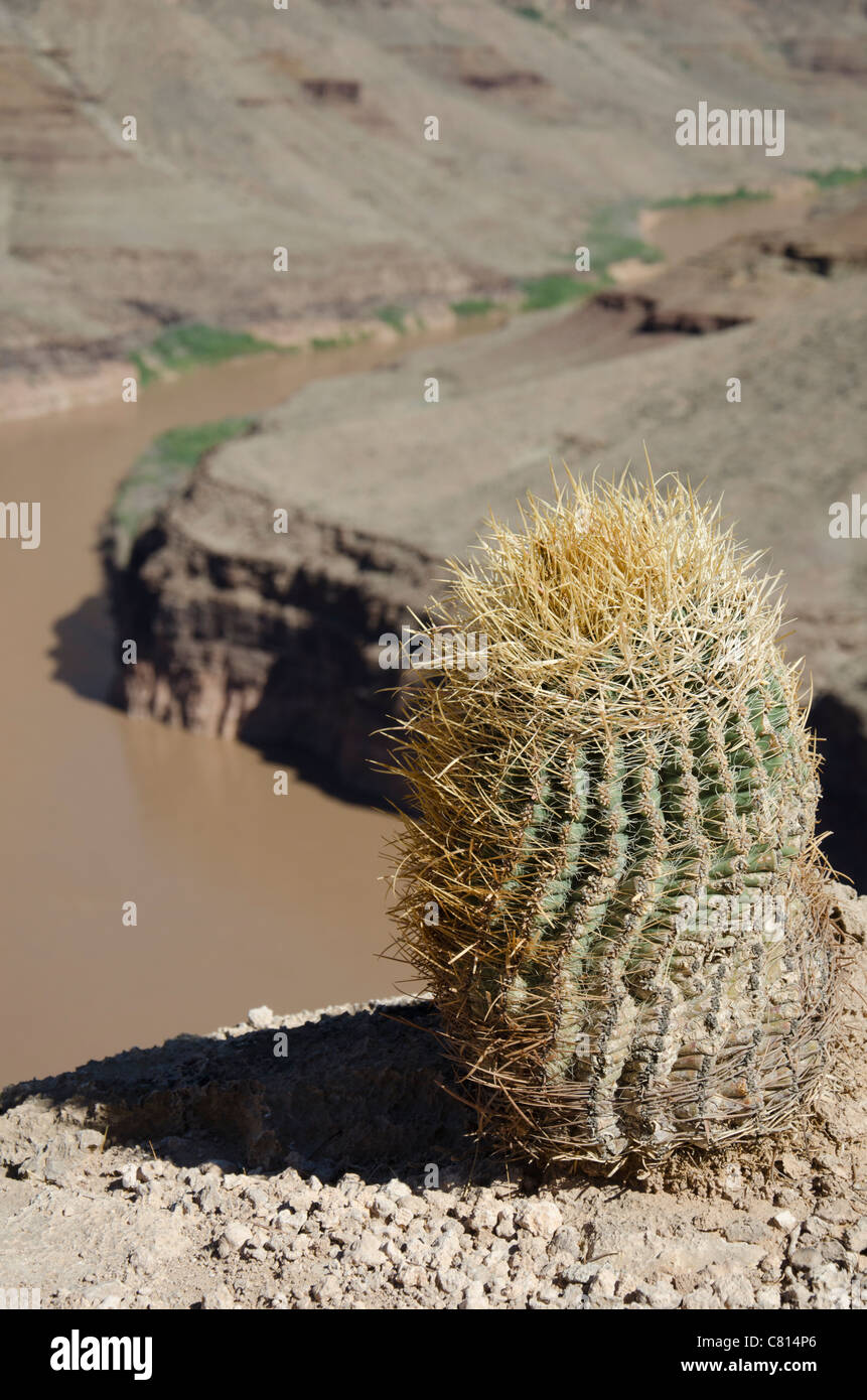 Blick auf den Colorado River, Nevada, USA Stockfoto