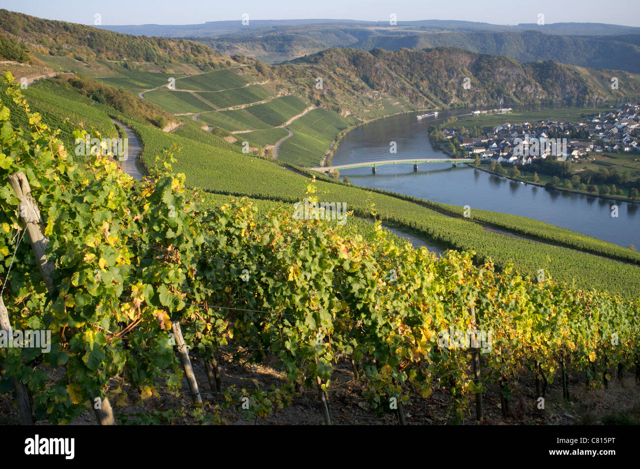 Blick auf das Dorf Piesport vom Weinberg im Moseltal in Deutschland Stockfoto