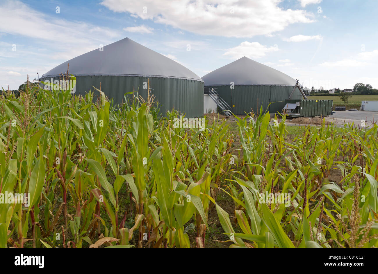 Biogasanlage mit Kornfeld Stockfoto